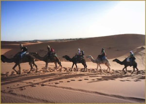 private 7 days family tour from Casablanca