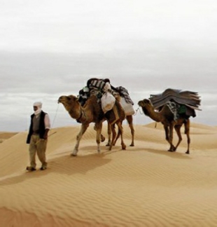 private 7 Days Agadir to desert Authentic Journey