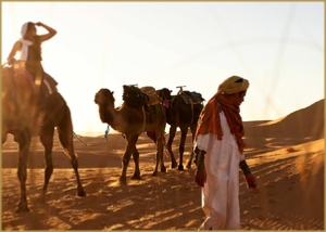 private 7 Days tour from Agadir to desert - Morocco Authentic Journey