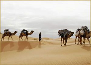 2 days Tour from Agadir - Short Desert Trip