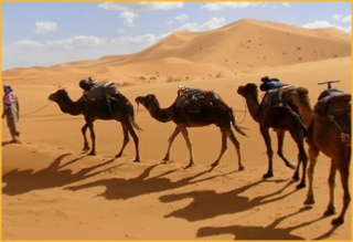 private Tours from Agadir