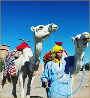 Photo gallery of Morocco - travel with Morocco Salah Tours