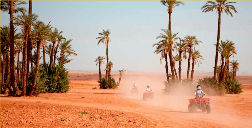 TOP adventure Marrakech activities - Best Outdoor Activities‎