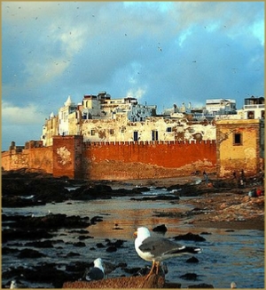 Photo gallery of Morocco - travel with Morocco Salah Tours