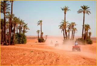 TOP adventure Marrakech activities - Best Outdoor Activities‎