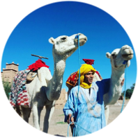 Morocco Salah Travels - Private Tours - Marrakech Premium Tours and Day Trips