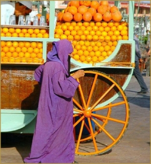 Photo gallery of Morocco - travel with Morocco Salah Tours