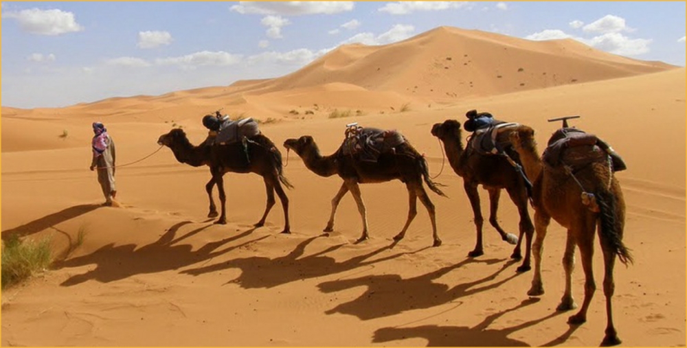 private Tours from Agadir