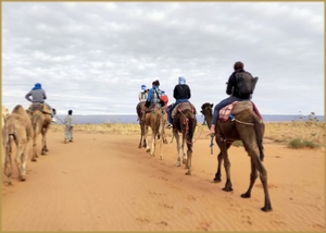 private 3 days Marrakech tour to desert and Fes - Amazing Morocco Tours