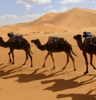 private 4 Days Agadir to Desert - South Real Magic