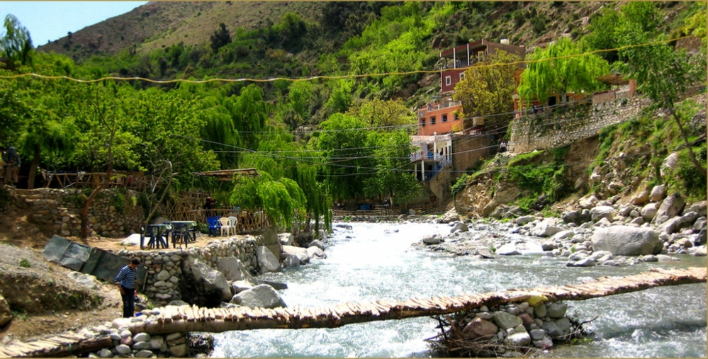 private Marrakech day trip to Ourika valley