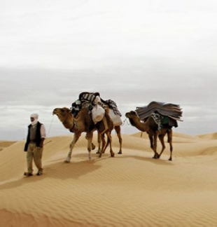 private 7 Days Agadir to desert Authentic Journey